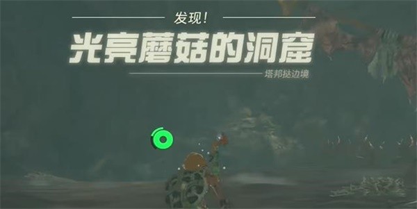 王国之泪照亮洞窟的蘑菇任务怎么做-王国之泪照亮洞窟的蘑菇任务攻略