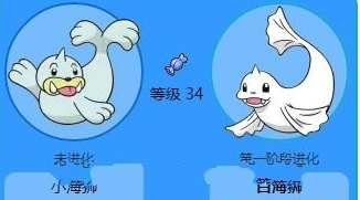 Pokemon  Go白海狮怎么样？PokemonGo白海狮属性图鉴